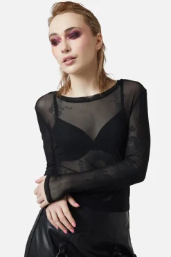 Women Dangerfield Blouses & Tops*Basic Mesh Long Sleeve Top