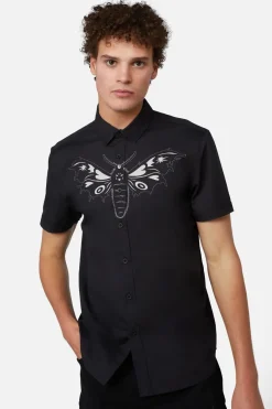 Men Dangerfield Shirts & Tees*Butterfly Front Placement Shirt