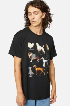 Men Dangerfield Shirts & Tees*Canine Oversized Cotton Tee
