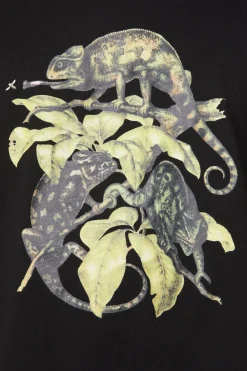 Men Dangerfield Shirts & Tees*Chameleon Cotton Boxy Tee