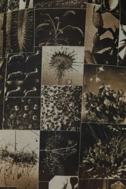 Women Black Friday Dresses & Pinafores*Curio Gothic Dress