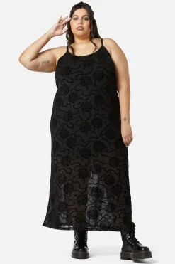 Women Dangerfield Dresses & Pinafores*Curve Decaying Days Flock Mesh Dress