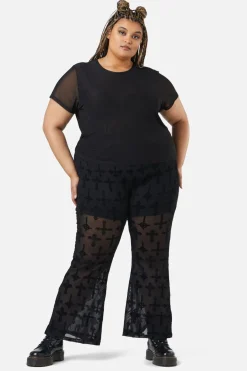 Women Dangerfield Curve Tops & Blouses*Curve Eliza Mesh Top