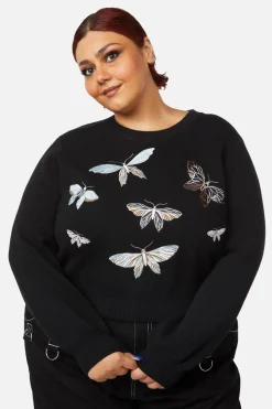 Women Black Friday Knitwear & Cardis*Curve Larve Knit