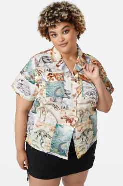 Women Dangerfield Curve Tops & Blouses*Curve Prehistoric Dino Tile Print Blouse