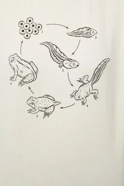 Women Black Friday Blouses & Tops*Cycle Tee