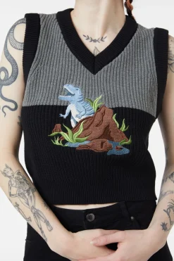 Women Dangerfield Knitwear & Cardis*Dinosaur Contrast Knit Vest