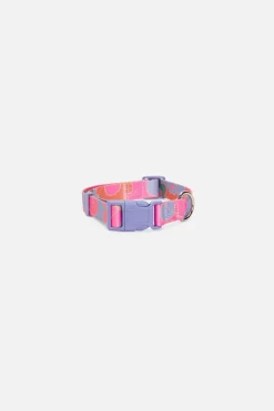 Accessories Princess Highway Pets*Donna Dog Collar L