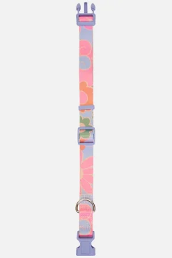 Accessories Princess Highway Pets*Donna Dog Collar L