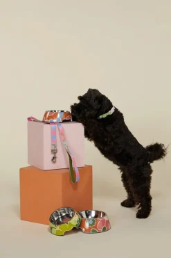 Accessories Princess Highway Pets*Donna Pet Bowl S