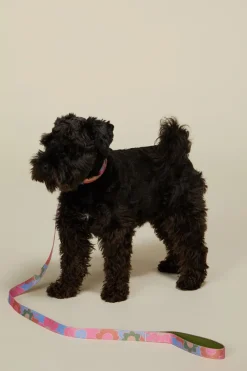 Accessories Princess Highway Pets*Donna Pet Lead L