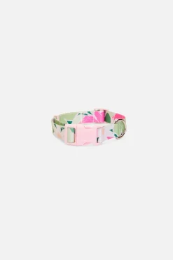 Accessories Princess Highway Pets*Edie Dog Collar L