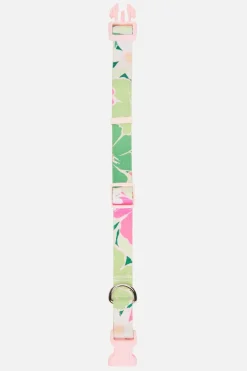 Accessories Princess Highway Pets*Edie Dog Collar L