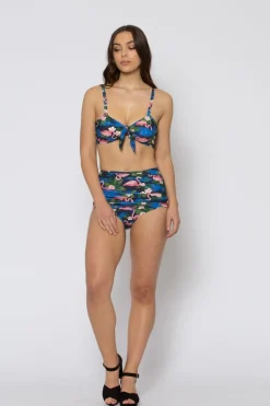 Women Revival Swimwear*Flamingo Dance Bikini Top