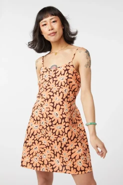 Women Dangerfield Dresses & Pinafores*Flower Frenzy Dress