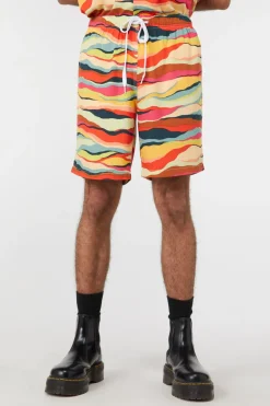 Men Dangerfield Pants & Shorts*Grounded Trunks