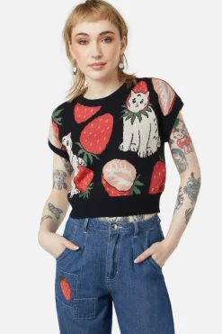 Women Dangerfield Knitwear & Cardis*Kitty Kisses Knit Top