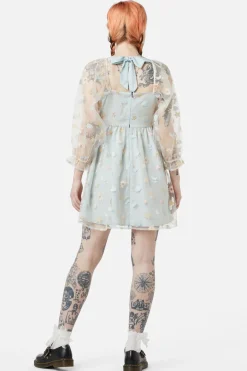 Women Dangerfield Dresses & Pinafores*Maisy Mesh Dress
