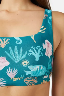 Women Princess Highway Swimwear*Oceania Bikini Top