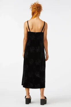 Women Dangerfield Dresses & Pinafores*Paint The Roses Dress