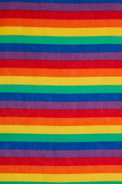 Accessories Dangerfield Scarves & Bandanas*Rainbow Bandana