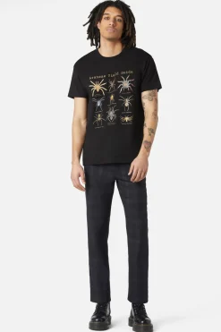 Men Dangerfield Shirts & Tees*Scientific Spider Tee