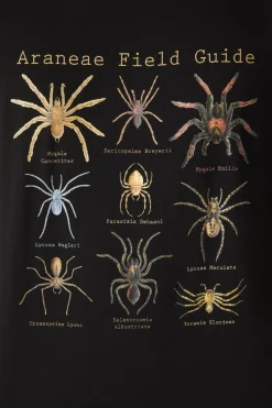 Men Dangerfield Shirts & Tees*Scientific Spider Tee