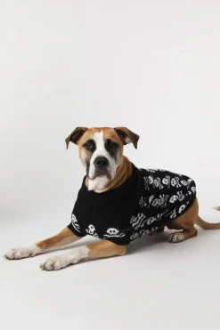 Accessories Dangerfield Homewares*Skull Dog Jumper L