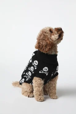 Accessories Dangerfield Homewares*Skull Dog Jumper M