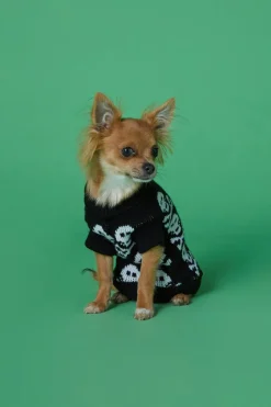 Accessories Dangerfield Homewares*Skull Dog Jumper Xs