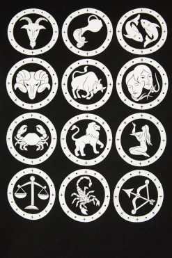 Men Black Friday Shirts & Tees*Starsign Tee